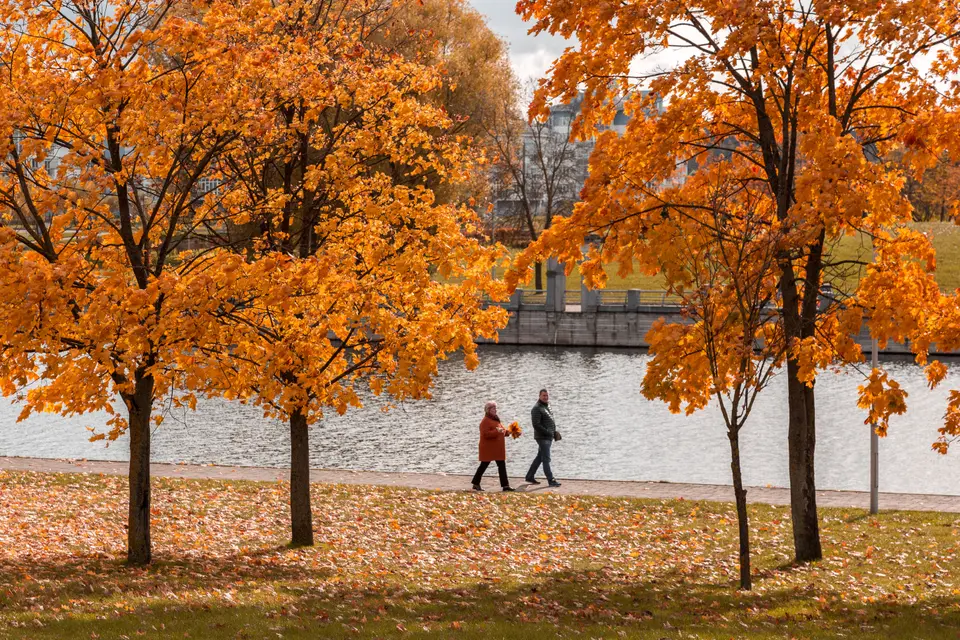 Our Local Expertise in Hopkinton, NH — Hopkinton, NH